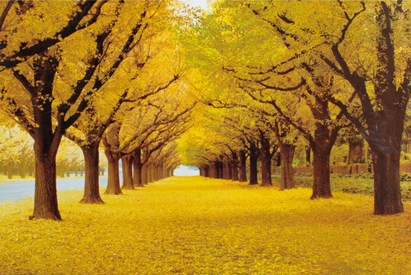 兒童益智玩具 兒童益智玩具